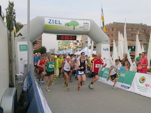 Inselparklauf Wilhelmsburg 2013